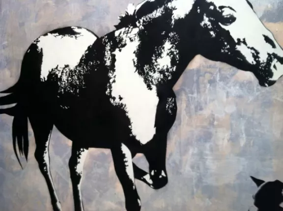 Blek 30 60 SF 05