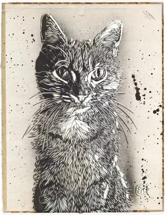 C215Staring