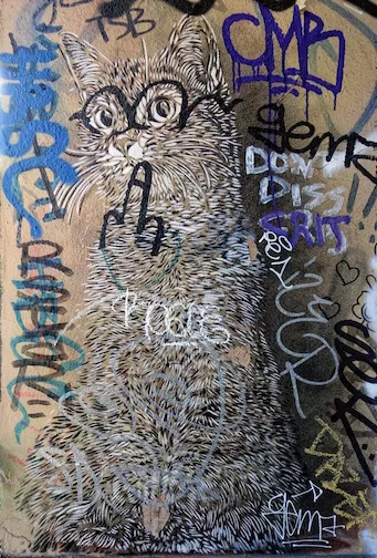 C215 Berlin Cat