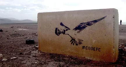 codefc Fuerteventura cineBird