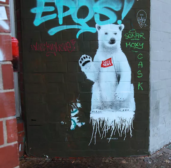 marycula Berlin polar bear Act Now ph J Rojo for BSA