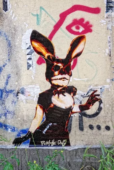 robi the dog sexy rabbitjpg