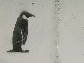 spank_FR Penguin