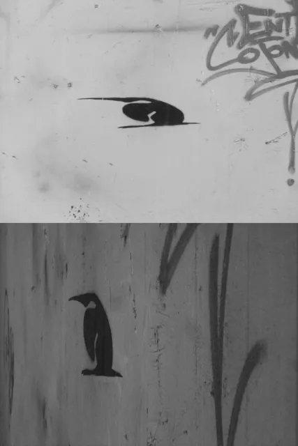 spank_FR anamorphosis_02