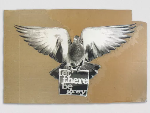 DE-theYOUNG-CARDBOARDPIGEON