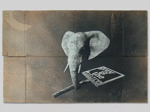 DE-theYOUNG-SMALLCARDBOARDELEPHANT