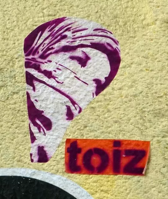 DE Hamburg toiz masked