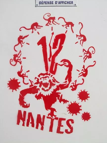 FR Nantes 12 Monkeys spoof photo Everything4Everyone 