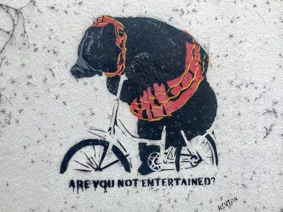 FR Newton Vitry-Sur-Seine Bear on Bike