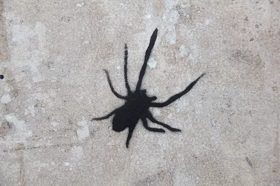 FR Paris spider