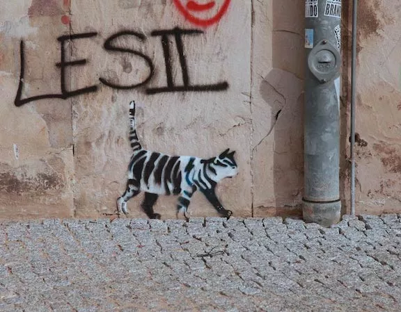DE Berlin cat ph j rojo for BSA