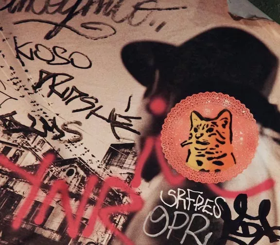DE Berlin cat wheatpaste photo jaime rojo for BSA