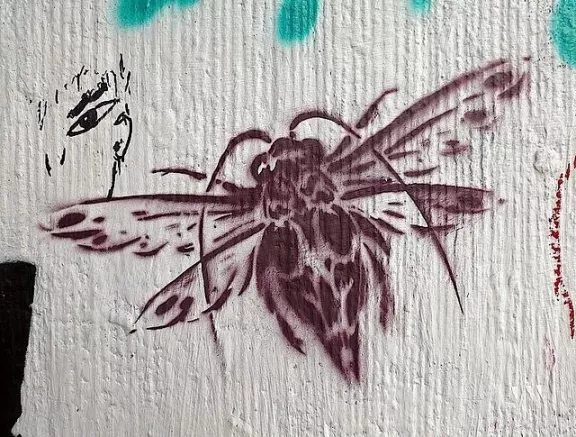 DE Berlin flying insect