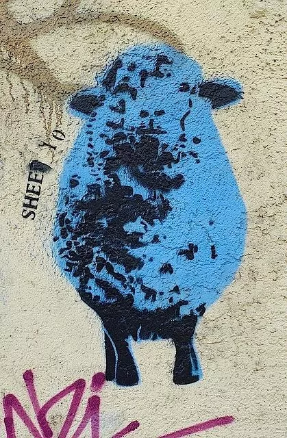 DE Berlin sheep