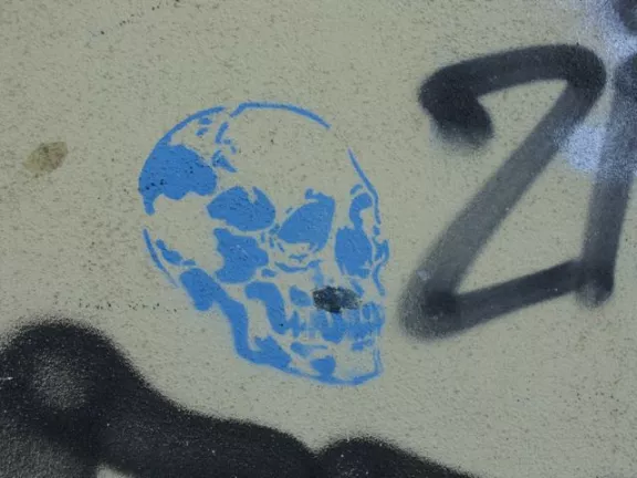 DE Berlin skull