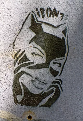 DE Berlin iCON73 Catwoman