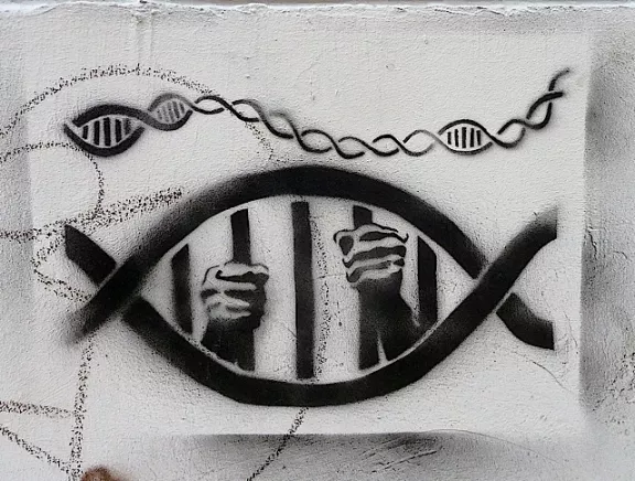 DE Hamburg DNA jail