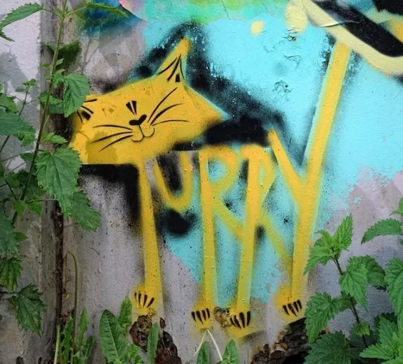 DE Hamburg Furry Purry cat