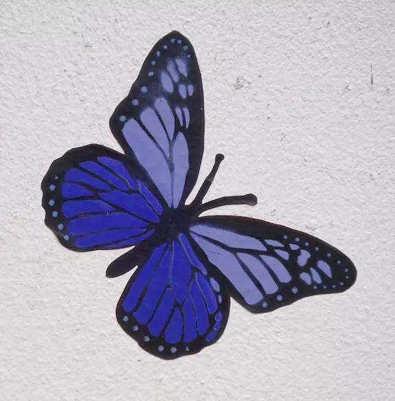 DE Hamburg blue butterfly ph TXMX