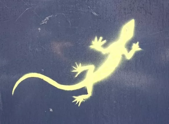 DE Hamburg lizard