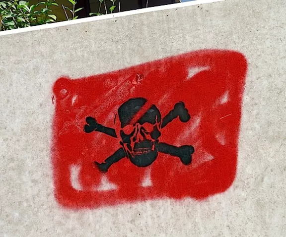 DE Hamburg pirate flag