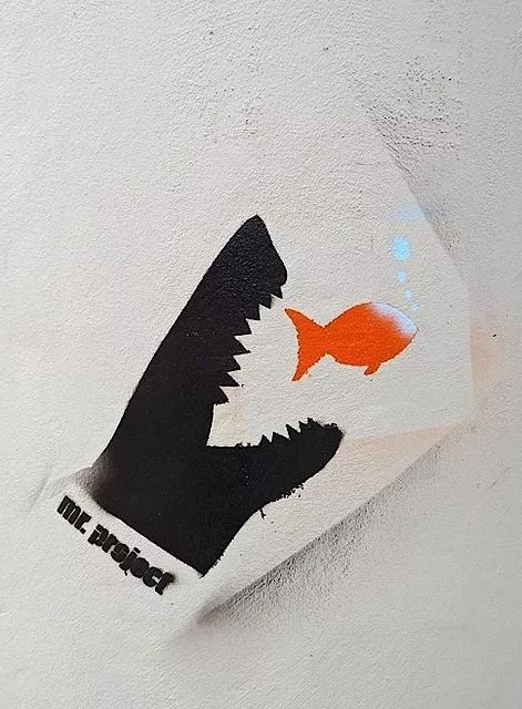 DE Hamburg shark eats fish