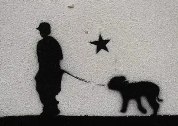 DE Hamburg walking dog with star