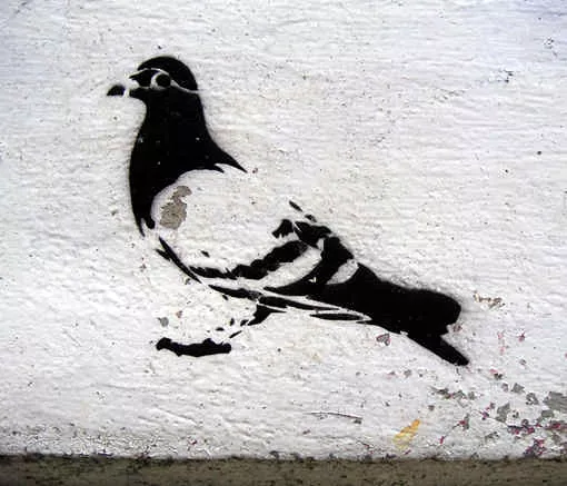 DE Hamburg pigeon