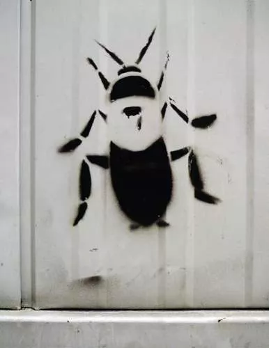 DE Hamburg roach 03
