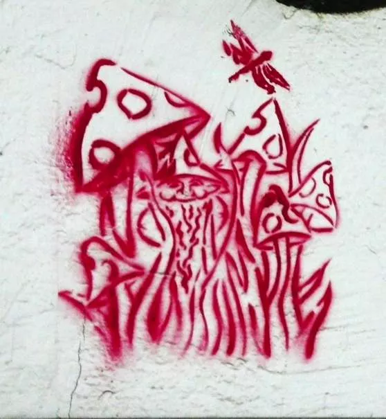 DE Hamburg mushrooms