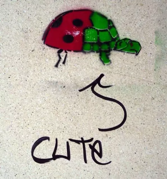 DE Hamburg ladybug turtle hybrid