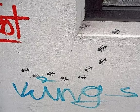 DE Hamburg simple ants