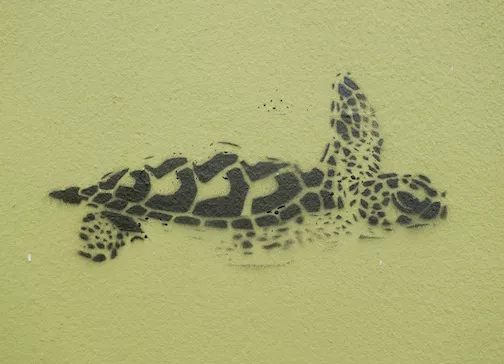DE Hamburg turtle detail