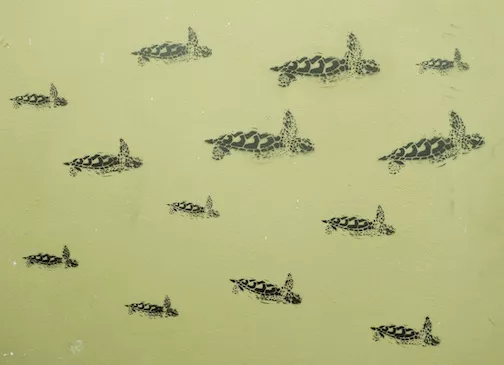 DE Hamburg turtles detail