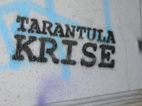 DE Hamburg Tarantula