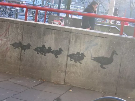 DE Hamburg ducks