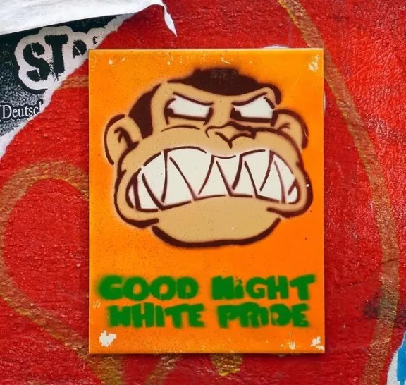 DE Hamburg ANTIFA gorilla