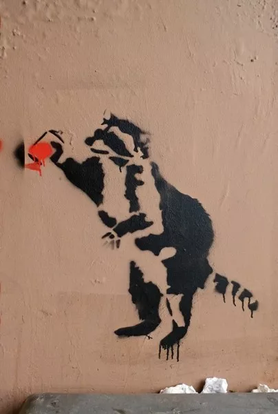 DE Hamburg raccoon spray painting