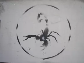 IT Milan scorpion