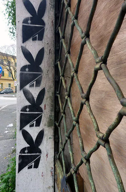 IT Rome masked bunny