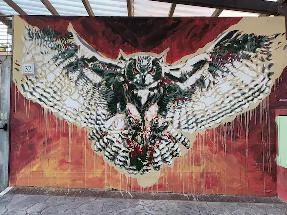 IT Rome Bubo Afrikanus