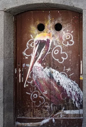 IT Salerno pelican