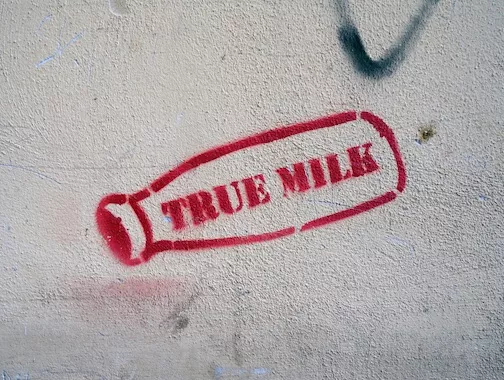 IT Salerno true milk