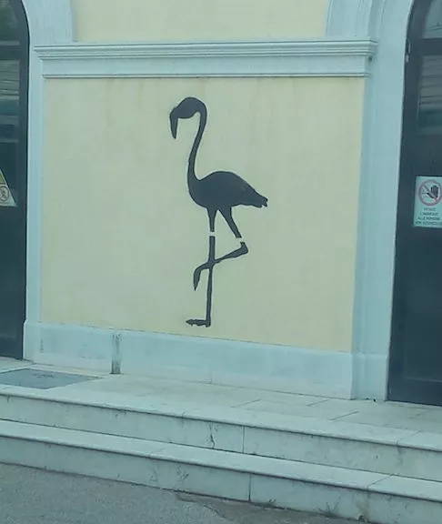 IT Udine Flamingo