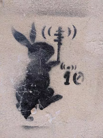 IT Venice rabbit io