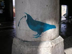 IT Venice bird