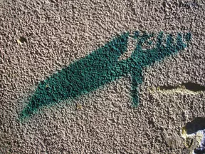 IT Venice shape