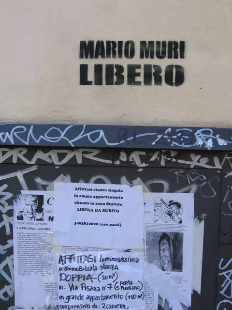 IT Florence Mario Muri