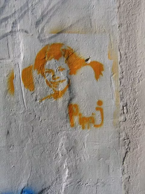 IT Florence Pippi J
