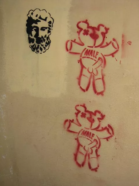 IT Florence male bear
